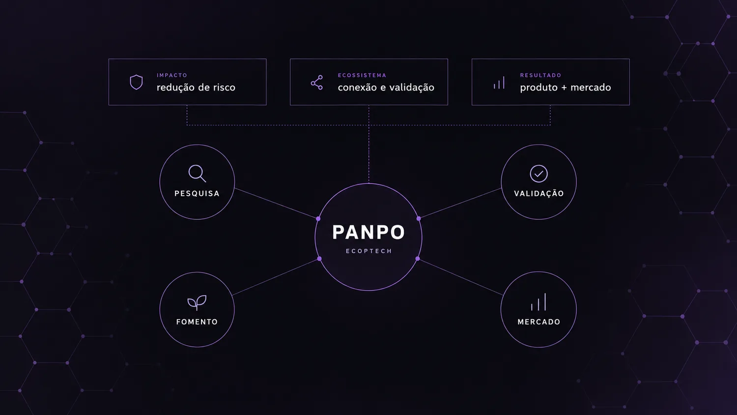 Panpo e Start BSB: da pesquisa aplicada à validação do produto